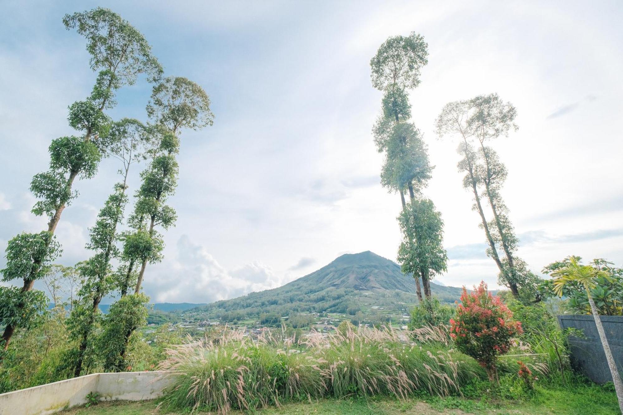 金塔马尼Bunbulan Panorama住宿加早餐旅馆 外观 照片